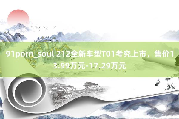 91porn_soul 212全新车型T01考究上市，售价13.99万元-17.29万元