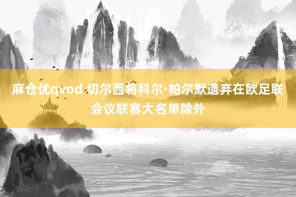 麻仓优qvod 切尔西将科尔·帕尔默遗弃在欧足联会议联赛大名单除外