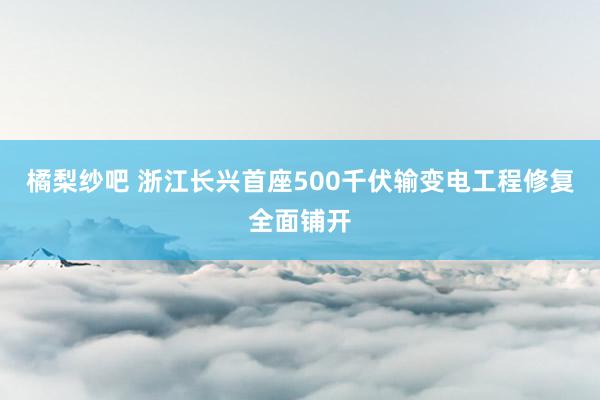 橘梨纱吧 浙江长兴首座500千伏输变电工程修复全面铺开