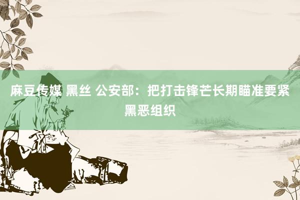 麻豆传媒 黑丝 公安部：把打击锋芒长期瞄准要紧黑恶组织