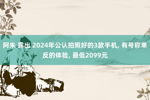 阿朱 露出 2024年公认拍照好的3款手机， 有号称单反的体验， 最低2099元