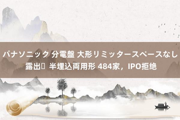 パナソニック 分電盤 大形リミッタースペースなし 露出・半埋込両用形 484家，IPO拒绝