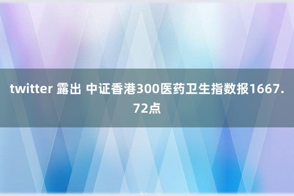 twitter 露出 中证香港300医药卫生指数报1667.72点