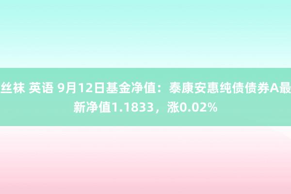 丝袜 英语 9月12日基金净值：泰康安惠纯债债券A最新净值1.1833，涨0.02%