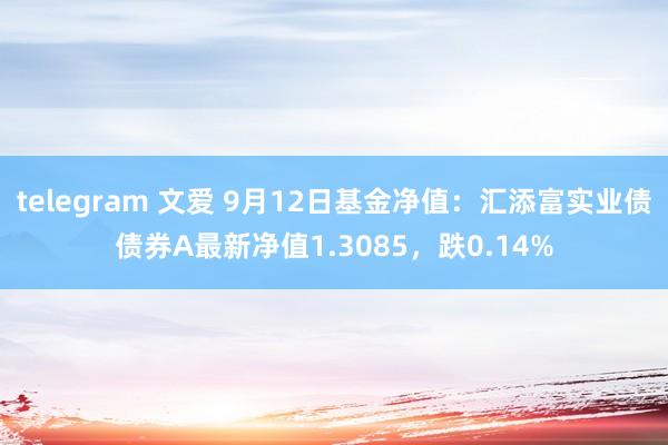 telegram 文爱 9月12日基金净值：汇添富实业债债券A最新净值1.3085，跌0.14%