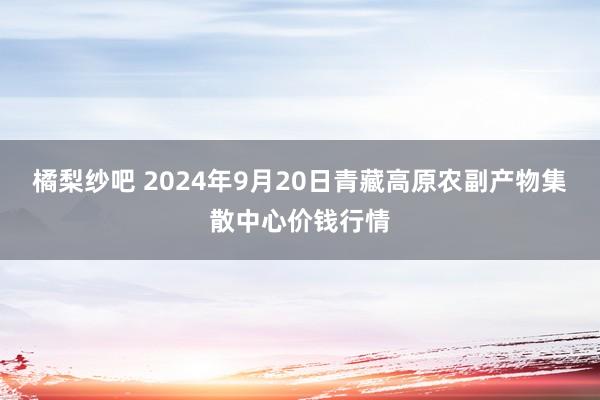 橘梨纱吧 2024年9月20日青藏高原农副产物集散中心价钱行情