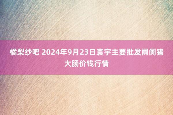 橘梨纱吧 2024年9月23日寰宇主要批发阛阓猪大肠价钱行情