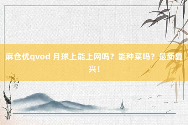 麻仓优qvod 月球上能上网吗？能种菜吗？最新复兴！