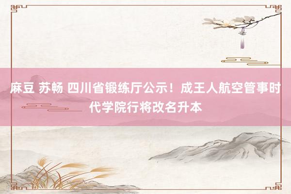 麻豆 苏畅 四川省锻练厅公示！成王人航空管事时代学院行将改名升本