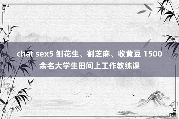 chat sex5 刨花生、割芝麻、收黄豆 1500余名大学生田间上工作教练课