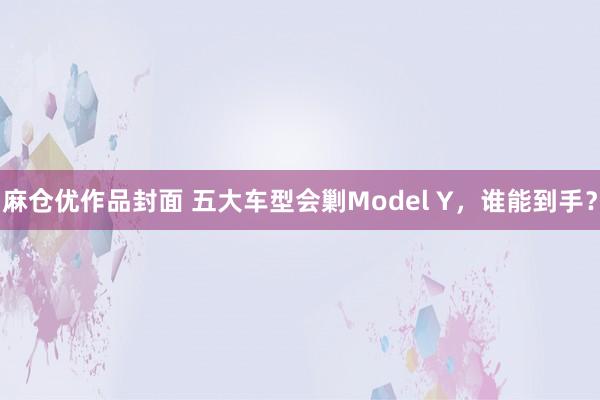 麻仓优作品封面 五大车型会剿Model Y，谁能到手？