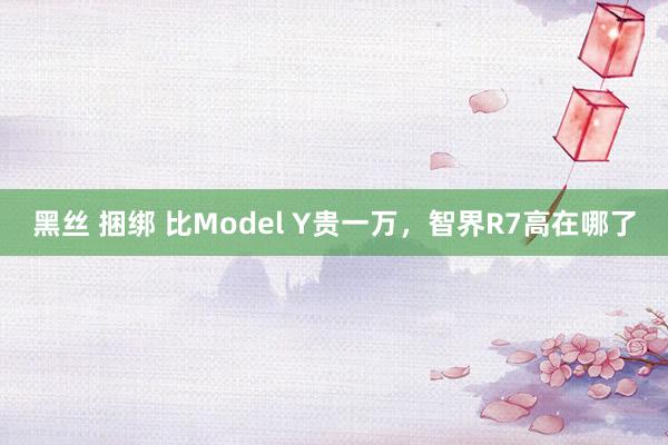 黑丝 捆绑 比Model Y贵一万，智界R7高在哪了