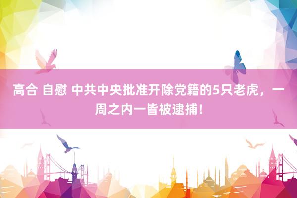 高合 自慰 中共中央批准开除党籍的5只老虎，一周之内一皆被逮捕！