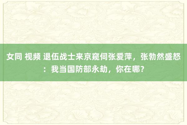 女同 视频 退伍战士来京窥伺张爱萍，张勃然盛怒：我当国防部永劫，你在哪？