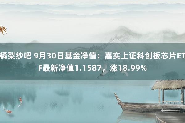 橘梨纱吧 9月30日基金净值：嘉实上证科创板芯片ETF最新净值1.1587，涨18.99%