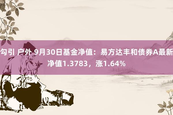 勾引 户外 9月30日基金净值：易方达丰和债券A最新净值1.3783，涨1.64%