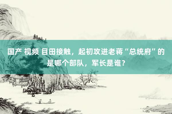 国产 视频 目田接触，起初攻进老蒋“总统府”的是哪个部队，军长是谁？