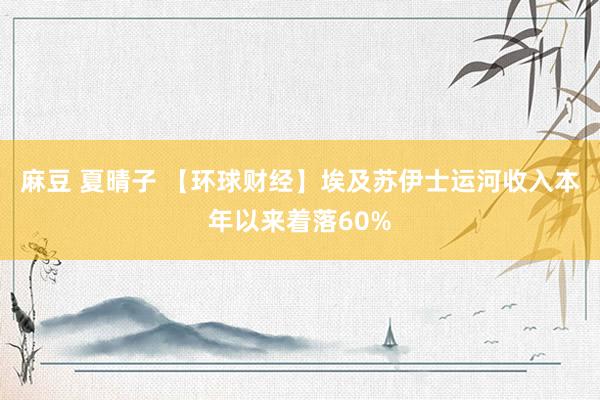 麻豆 夏晴子 【环球财经】埃及苏伊士运河收入本年以来着落60%