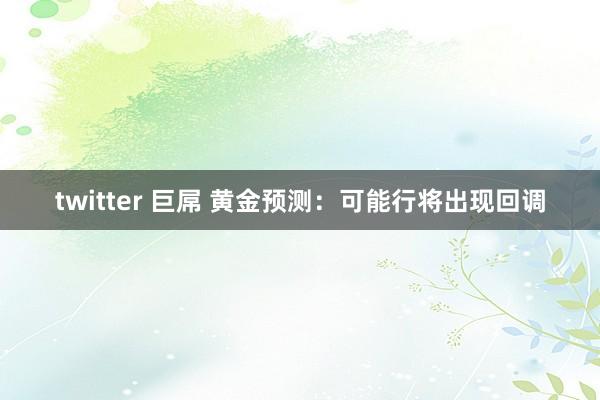 twitter 巨屌 黄金预测：可能行将出现回调