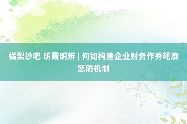 橘梨纱吧 明霞明辨 | 何如构建企业财务作秀轮廓惩防机制