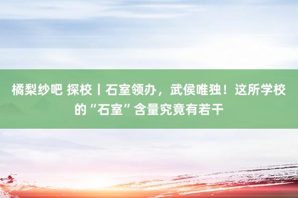 橘梨纱吧 探校丨石室领办，武侯唯独！这所学校的“石室”含量究竟有若干