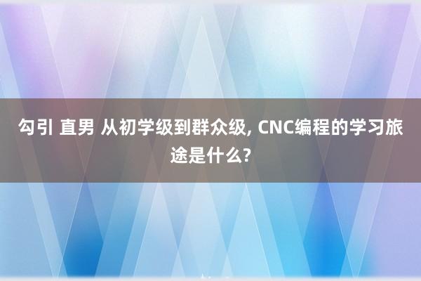 勾引 直男 从初学级到群众级， CNC编程的学习旅途是什么?