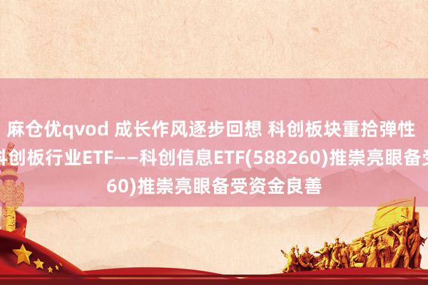 麻仓优qvod 成长作风逐步回想 科创板块重拾弹性 国内首批科创板行业ETF——科创信息ETF(588260)推崇亮眼备受资金良善