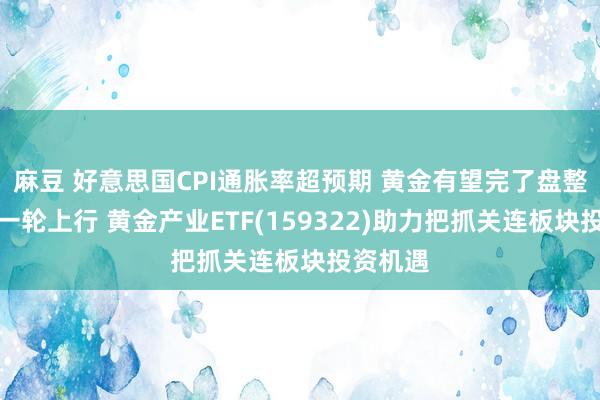 麻豆 好意思国CPI通胀率超预期 黄金有望完了盘整迎来新一轮上行 黄金产业ETF(159322)助力把抓关连板块投资机遇