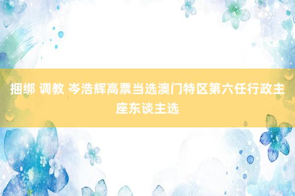 捆绑 调教 岑浩辉高票当选澳门特区第六任行政主座东谈主选