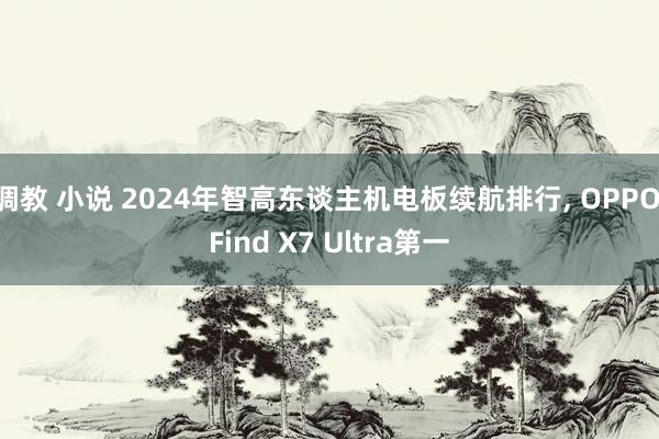 调教 小说 2024年智高东谈主机电板续航排行， OPPO Find X7 Ultra第一