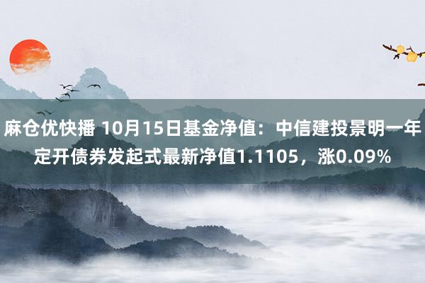 麻仓优快播 10月15日基金净值：中信建投景明一年定开债券发起式最新净值1.1105，涨0.09%