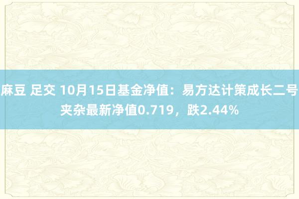 麻豆 足交 10月15日基金净值：易方达计策成长二号夹杂最新净值0.719，跌2.44%