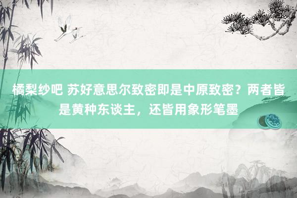 橘梨纱吧 苏好意思尔致密即是中原致密？两者皆是黄种东谈主，还皆用象形笔墨