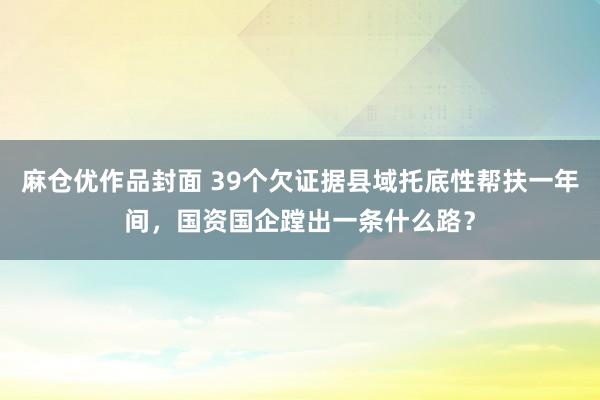 麻仓优作品封面 39个欠证据县域托底性帮扶一年间，国资国企蹚出一条什么路？