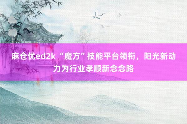 麻仓优ed2k “魔方”技能平台领衔，阳光新动力为行业孝顺新念念路