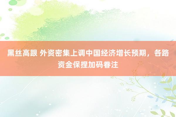 黑丝高跟 外资密集上调中国经济增长预期，各路资金保捏加码眷注