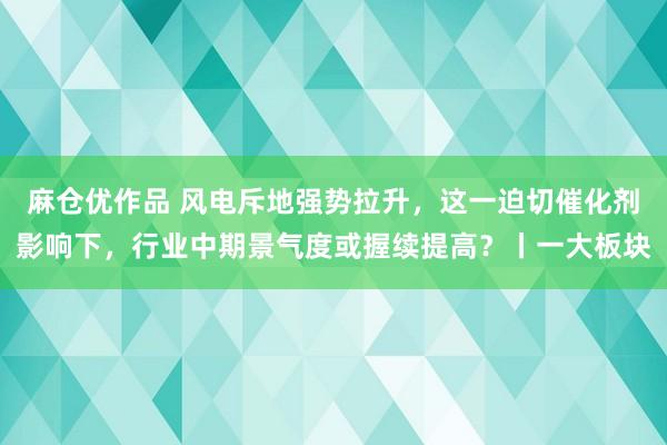 麻仓优作品 风电斥地强势拉升，这一迫切催化剂影响下，行业中期景气度或握续提高？丨一大板块