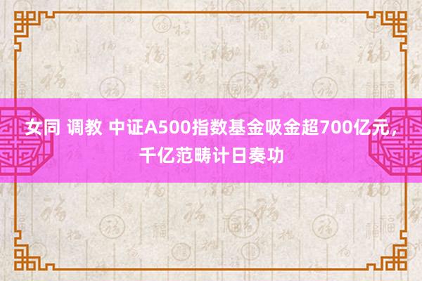 女同 调教 中证A500指数基金吸金超700亿元，千亿范畴计日奏功