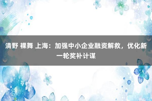 清野 裸舞 上海：加强中小企业融资解救，优化新一轮奖补计谋