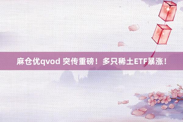 麻仓优qvod 突传重磅！多只稀土ETF暴涨！