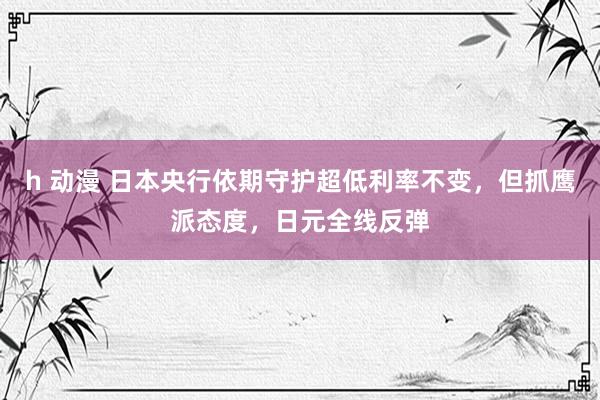 h 动漫 日本央行依期守护超低利率不变，但抓鹰派态度，日元全线反弹