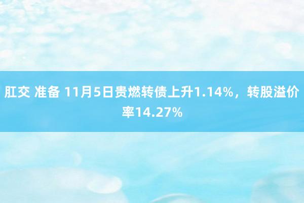 肛交 准备 11月5日贵燃转债上升1.14%，转股溢价率14.27%