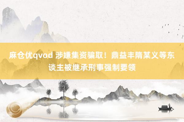 麻仓优qvod 涉嫌集资骗取！鼎益丰隋某义等东谈主被继承刑事强制要领