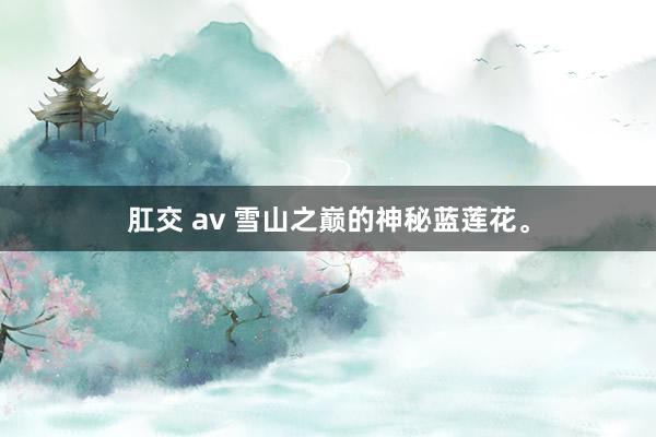 肛交 av 雪山之巅的神秘蓝莲花。