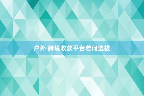 户外 跨境收款平台若何选拔