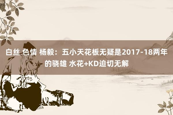 白丝 色情 杨毅：五小天花板无疑是2017-18两年的骁雄 水花+KD迫切无解