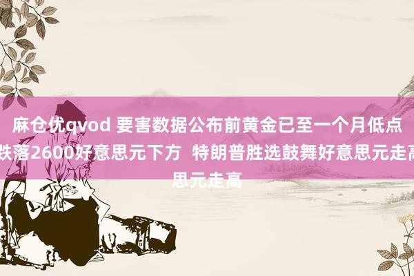 麻仓优qvod 要害数据公布前黄金已至一个月低点 跌落2600好意思元下方  特朗普胜选鼓舞好意思元走高