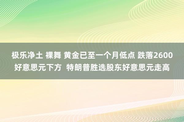 极乐净土 裸舞 黄金已至一个月低点 跌落2600好意思元下方  特朗普胜选股东好意思元走高