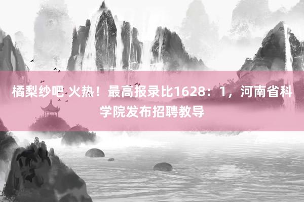 橘梨纱吧 火热！最高报录比1628：1，河南省科学院发布招聘教导