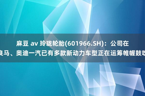 麻豆 av 玲珑轮胎(601966.SH)：公司在良马、奥迪一汽已有多款新动力车型正在运筹帷幄鼓吹